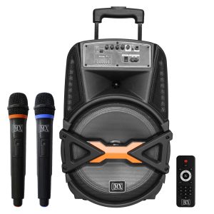 MX 15" Portable multimedia speaker system