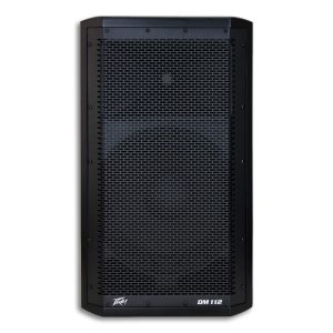 Peavey 12" Two-way Woofer speaker