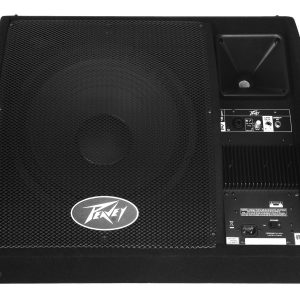 Peavey Powered bi-amplified two-way monitor speaker system